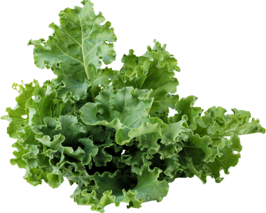 kale image