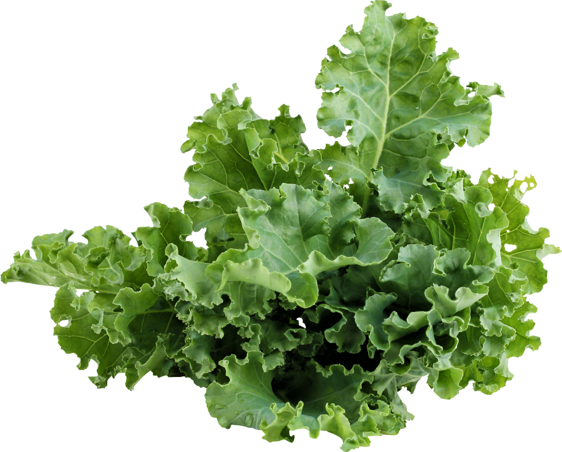 kale image