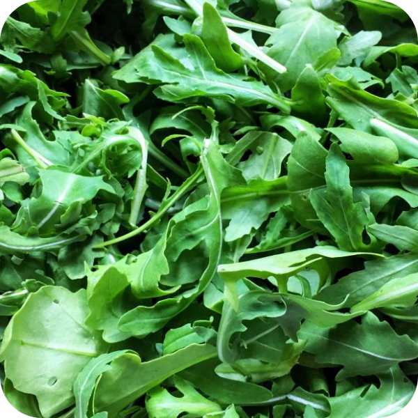 Arugula