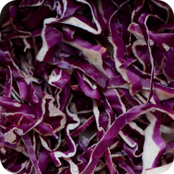 Red Cabbage